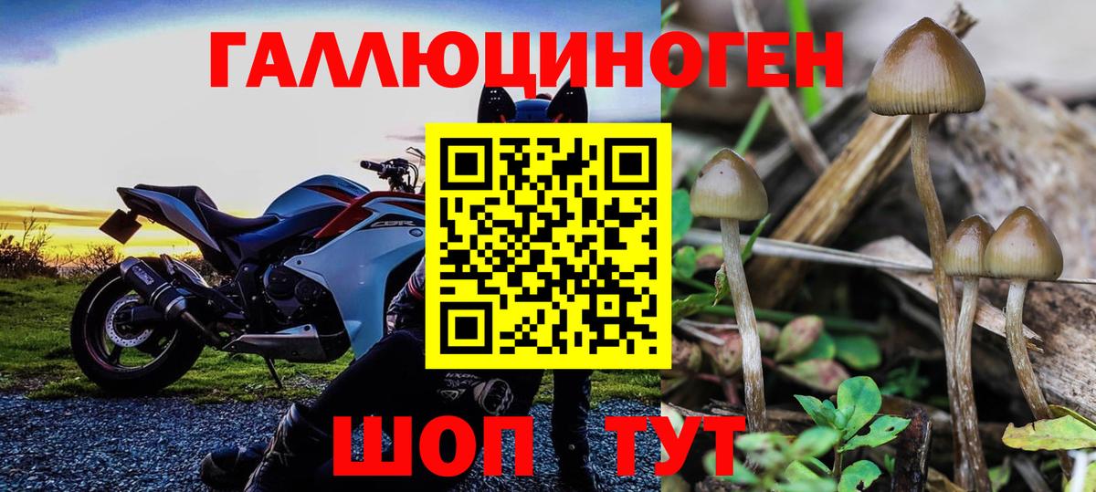 Буйнакск  Галлюциногенные грибы ЛСД  Вход с VPN 