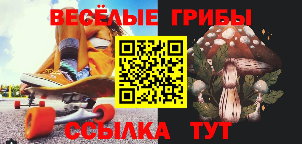 Псилоцибиновые грибы прущие грибы Буйнакск